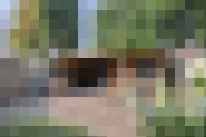 De Wieken 16 Beek en Donk foto 2