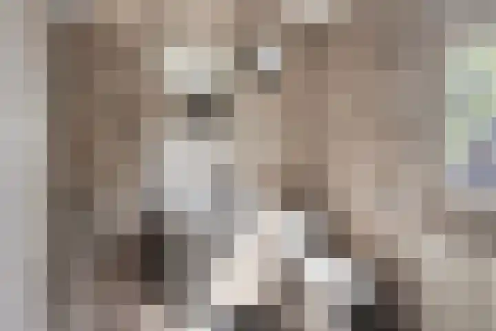 De Wieken 16 Beek en Donk thumbnail 20