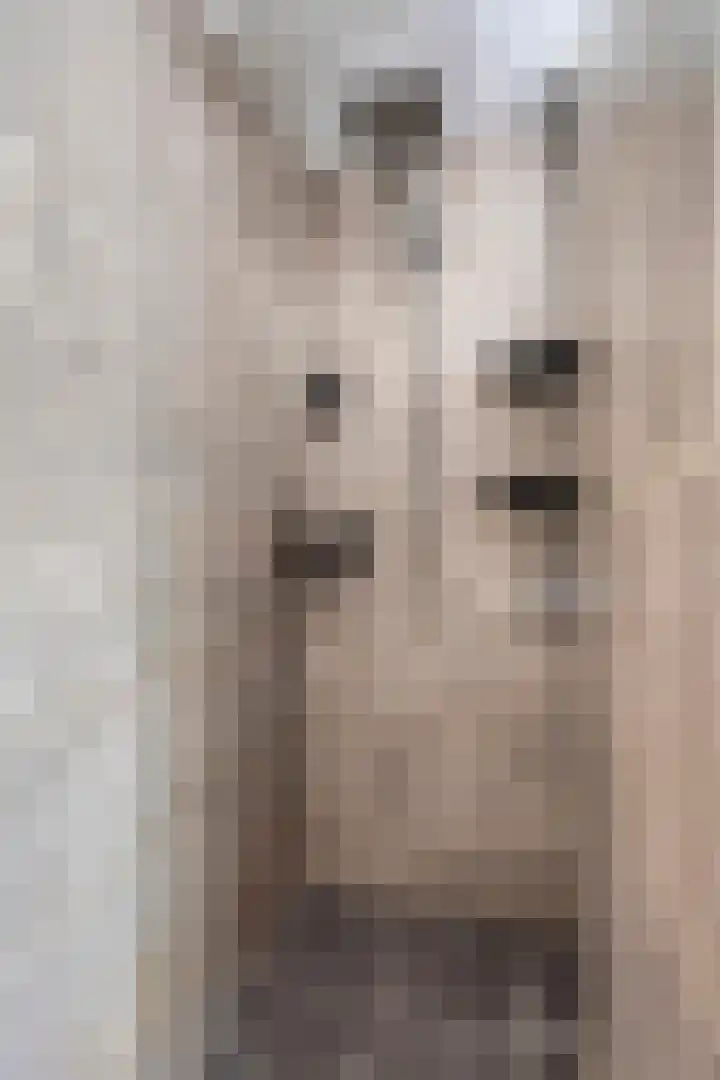 De Wieken 16 Beek en Donk thumbnail 21