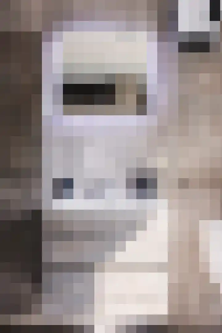 De Wieken 16 Beek en Donk thumbnail 22