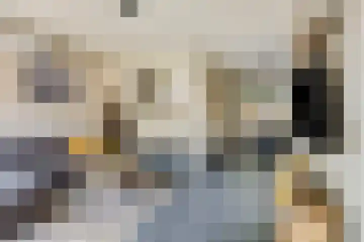 De Wieken 16 Beek en Donk foto 3
