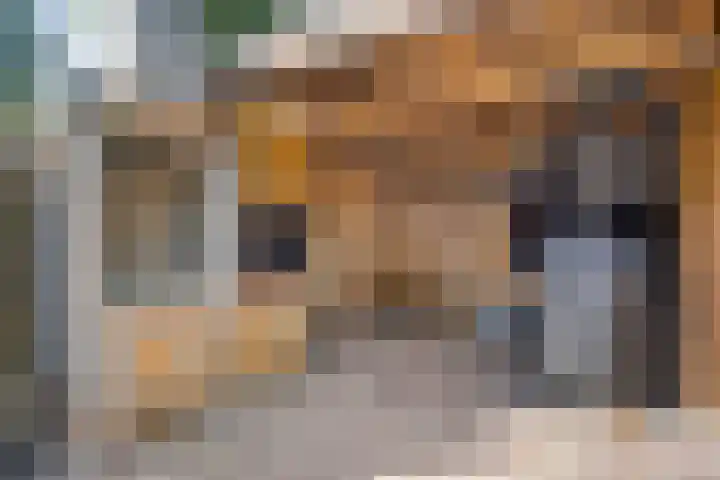De Wieken 16 Beek en Donk thumbnail 31