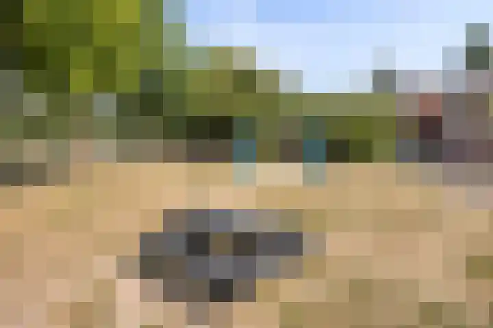 De Wieken 16 Beek en Donk thumbnail 34