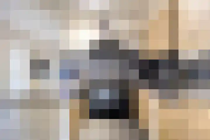 De Wieken 16 Beek en Donk thumbnail 4