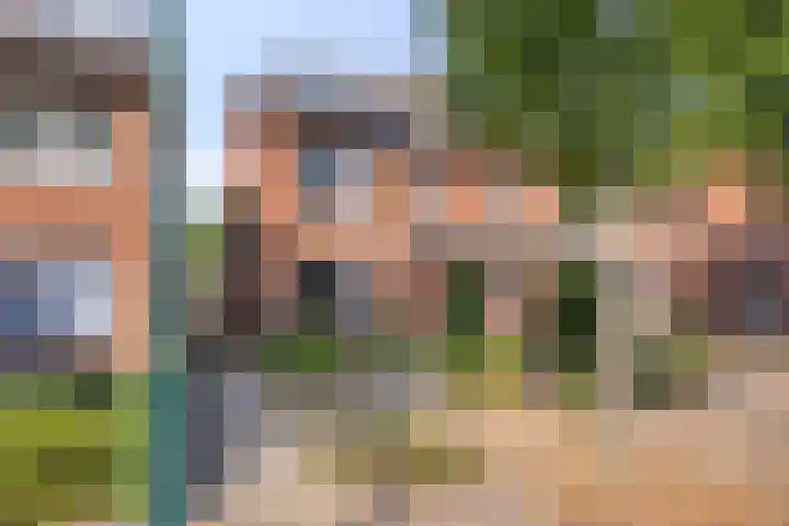 De Wieken 16 Beek en Donk thumbnail 6