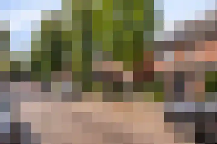 De Wieken 16 Beek en Donk thumbnail 7