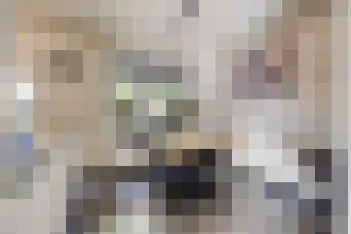 De Wieken 16 Beek en Donk thumbnail 9