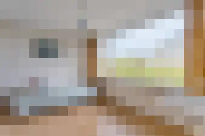De Wieken 16 Oudorp thumbnail 19