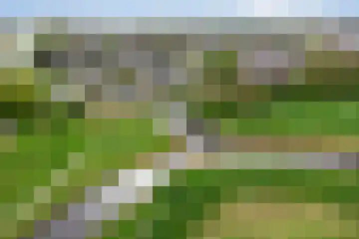 De Wieken 16 Oudorp thumbnail 28