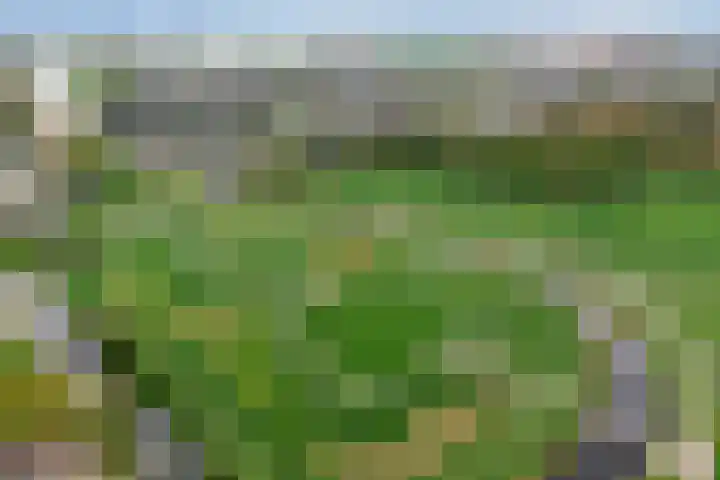 De Wieken 16 Oudorp thumbnail 29