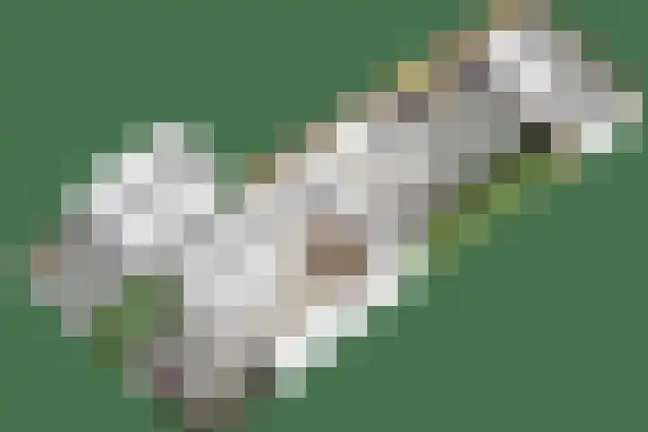 De Wieken 16 Oudorp thumbnail 36