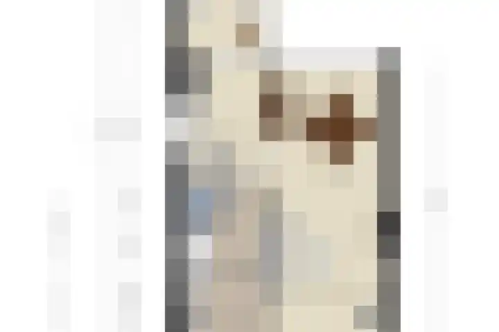 De Wieken 16 Oudorp thumbnail 37
