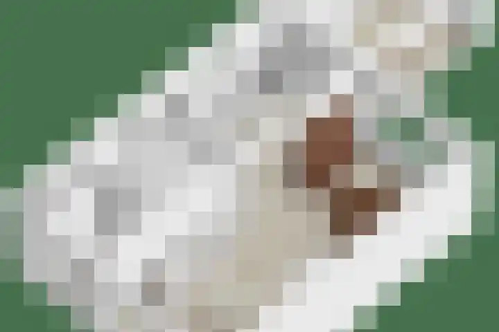 De Wieken 16 Oudorp thumbnail 38
