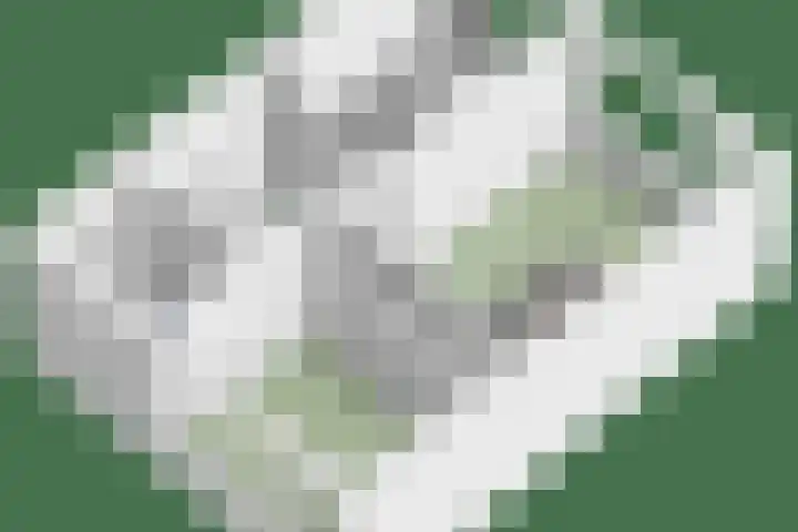 De Wieken 16 Oudorp thumbnail 40