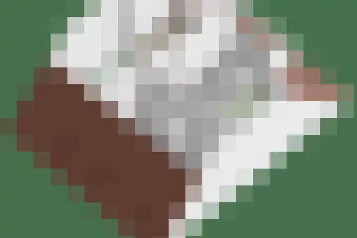 De Wieken 16 Oudorp thumbnail 42