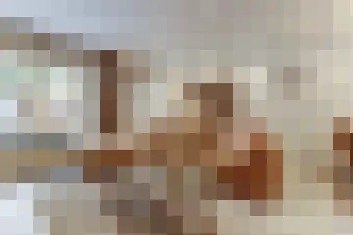 de Wieken 17 Bergeijk thumbnail 10