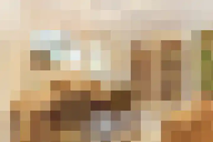 de Wieken 17 Bergeijk thumbnail 14