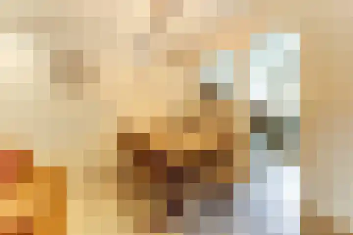 de Wieken 17 Bergeijk thumbnail 15