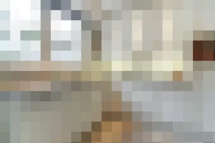 de Wieken 17 Bergeijk thumbnail 17