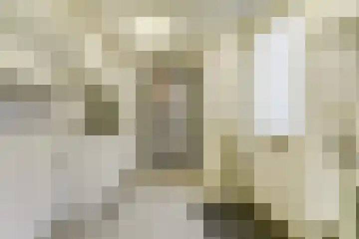 de Wieken 17 Bergeijk thumbnail 20