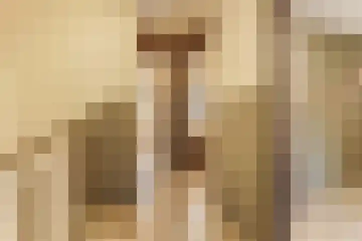 de Wieken 17 Bergeijk thumbnail 21