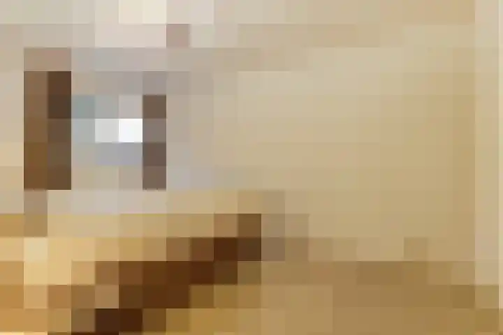 de Wieken 17 Bergeijk thumbnail 22