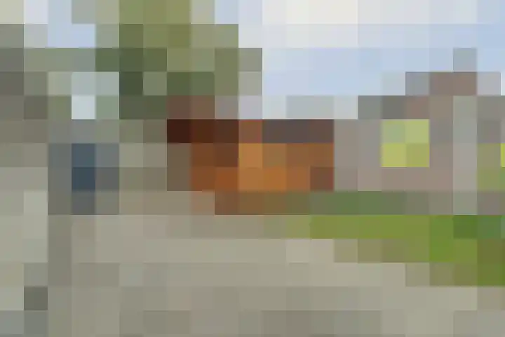 de Wieken 17 Bergeijk thumbnail 29