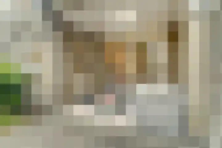 de Wieken 17 Bergeijk thumbnail 30