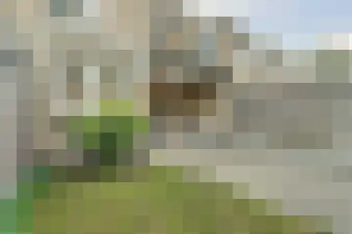 de Wieken 17 Bergeijk thumbnail 31