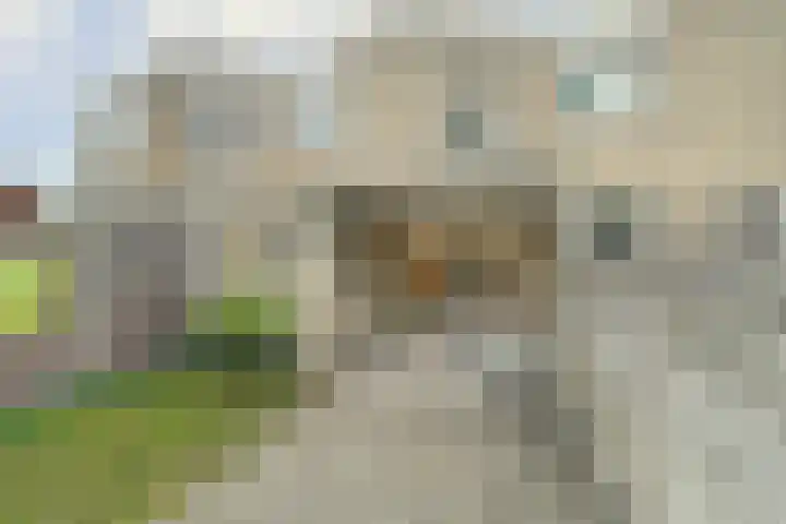 de Wieken 17 Bergeijk thumbnail 32
