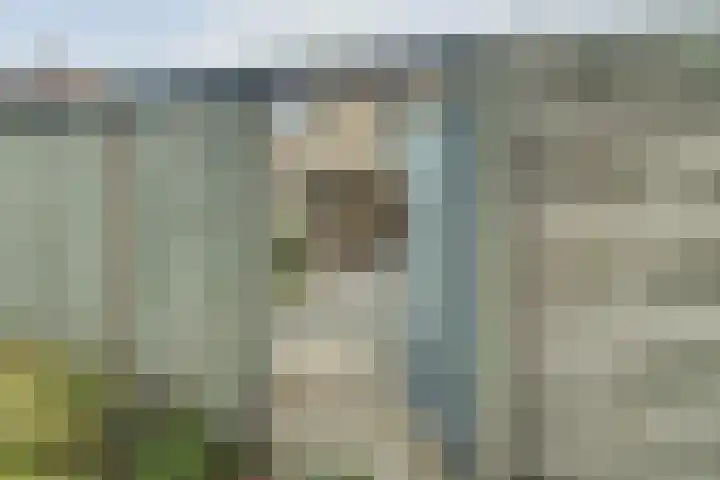 de Wieken 17 Bergeijk thumbnail 33