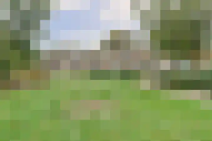 de Wieken 17 Bergeijk thumbnail 37