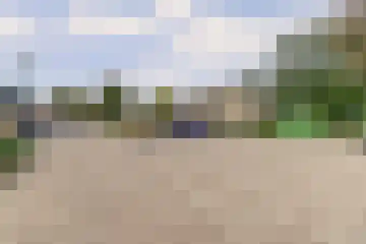 de Wieken 17 Bergeijk thumbnail 38