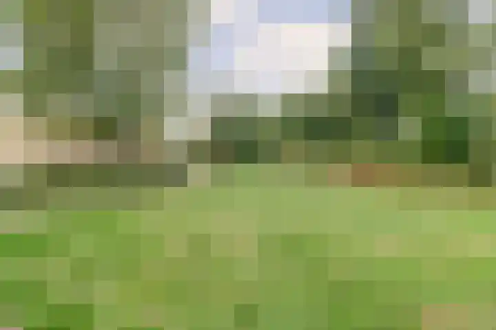 de Wieken 17 Bergeijk thumbnail 39