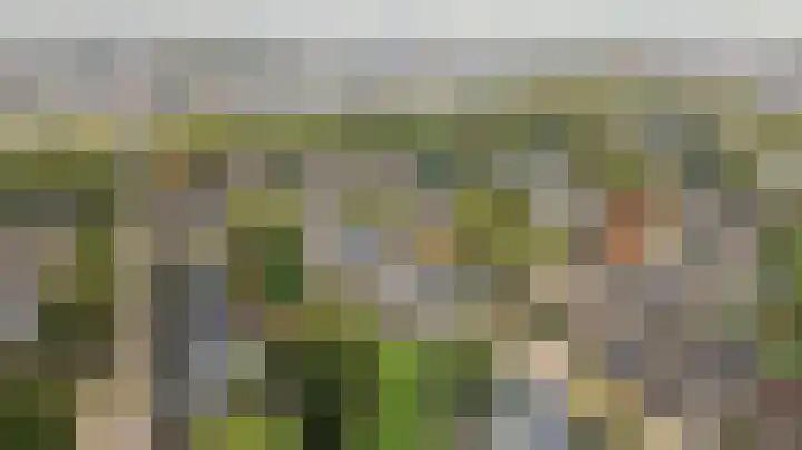 de Wieken 17 Bergeijk thumbnail 4