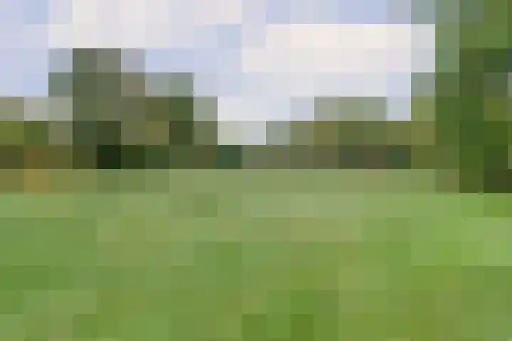 de Wieken 17 Bergeijk thumbnail 40