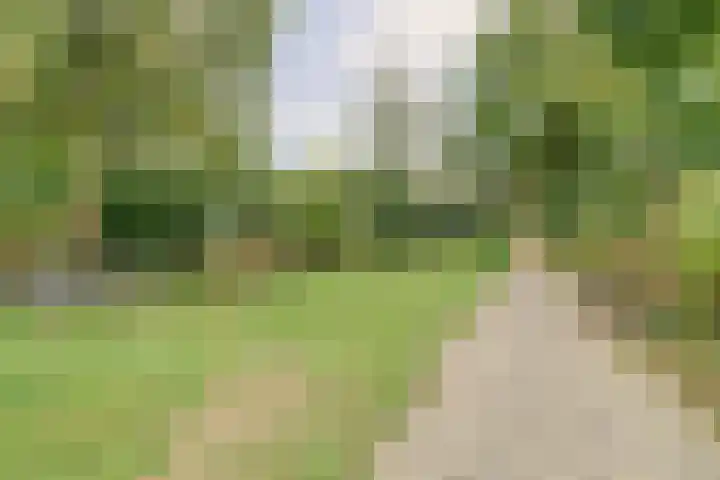 de Wieken 17 Bergeijk thumbnail 41