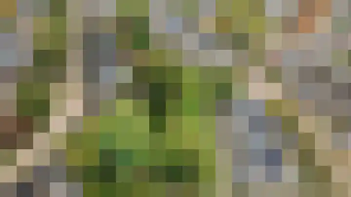 de Wieken 17 Bergeijk thumbnail 42