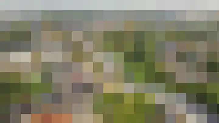 de Wieken 17 Bergeijk thumbnail 43