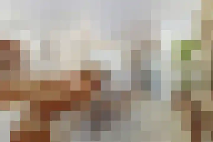 de Wieken 17 Bergeijk thumbnail 9