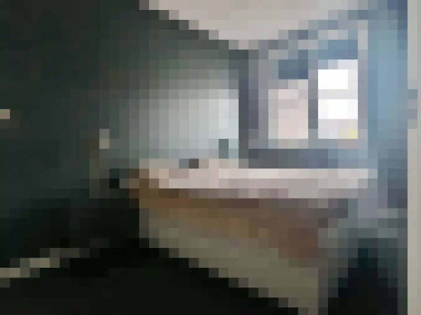 De Wieken 19 Elburg thumbnail 10