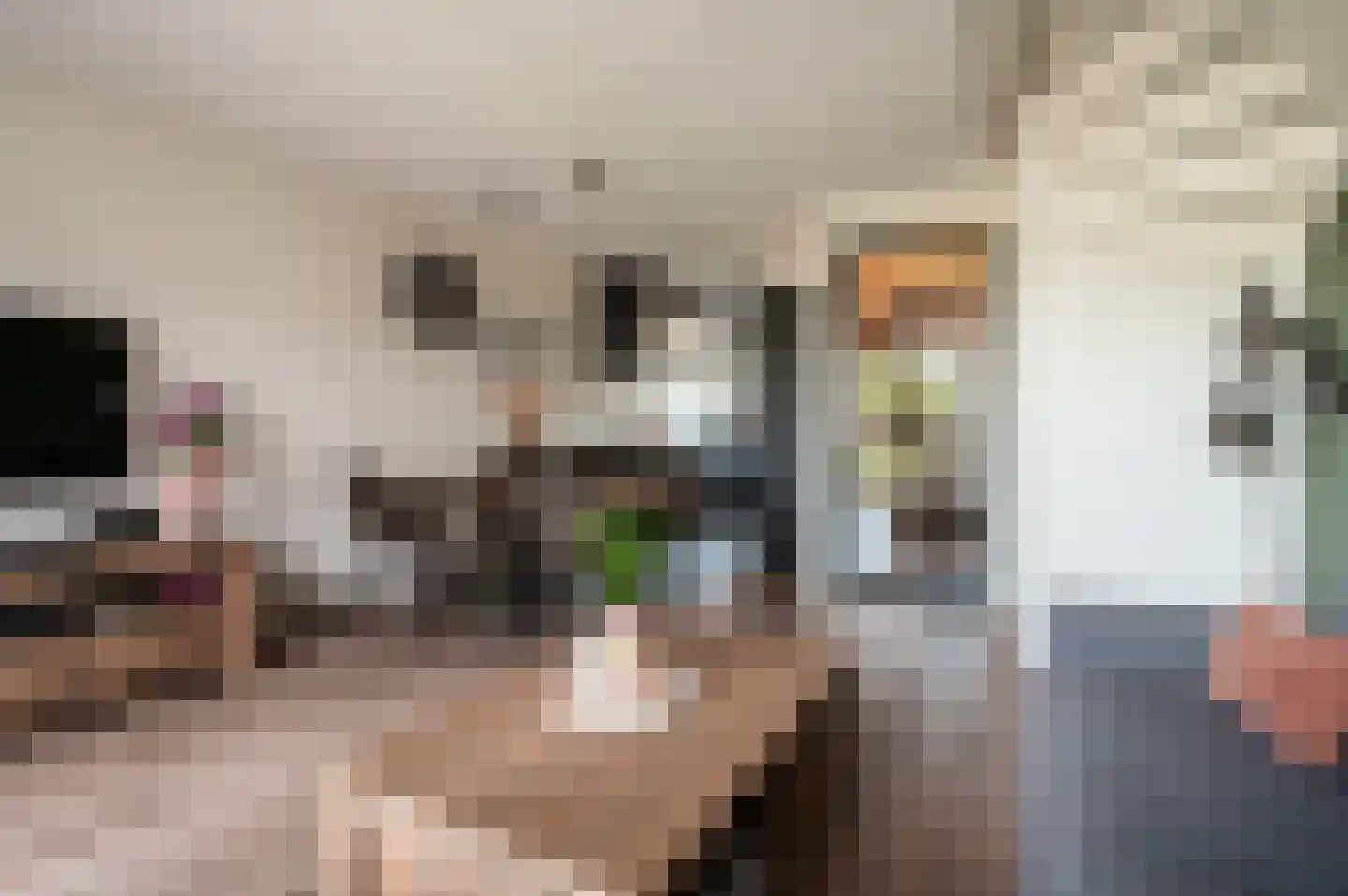 De Wieken 19 Elburg thumbnail 11