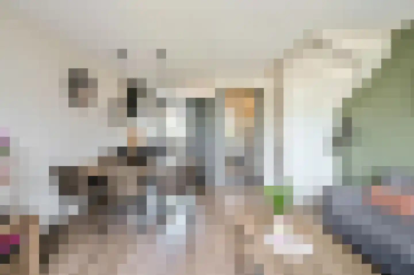 De Wieken 19 Elburg thumbnail 13
