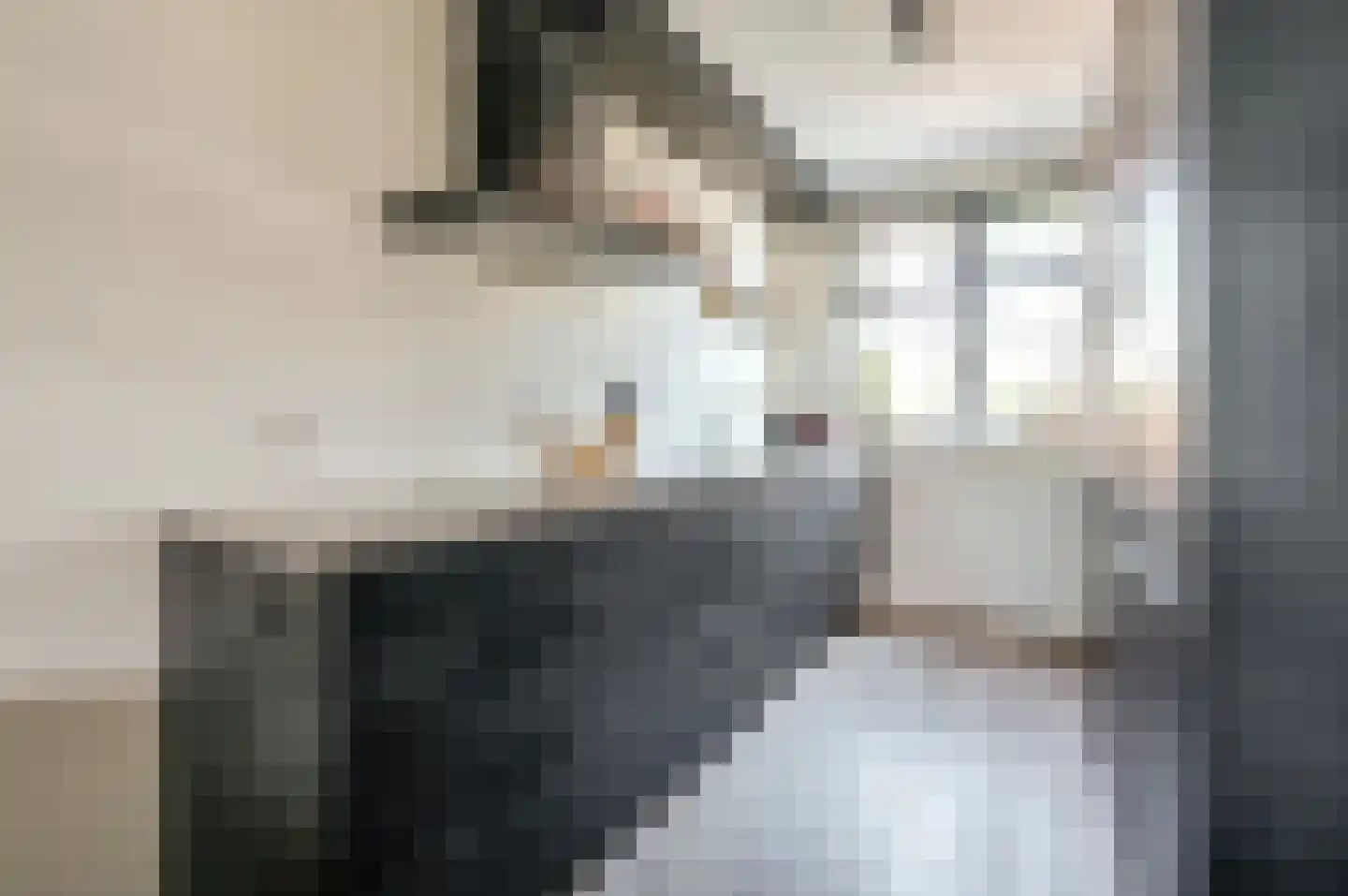 De Wieken 19 Elburg thumbnail 16