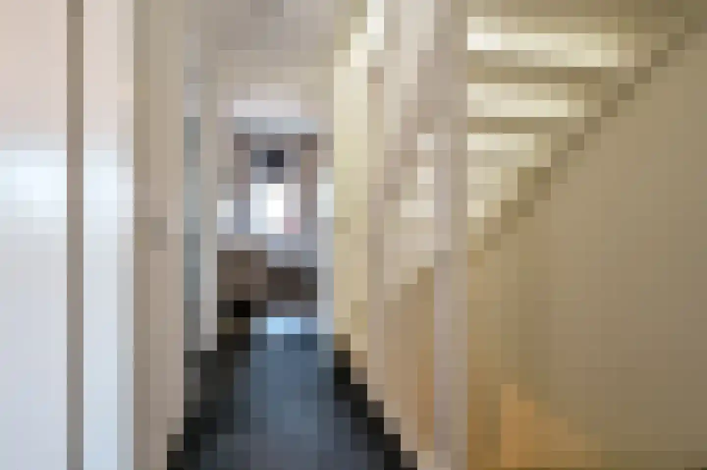 De Wieken 19 Elburg thumbnail 17