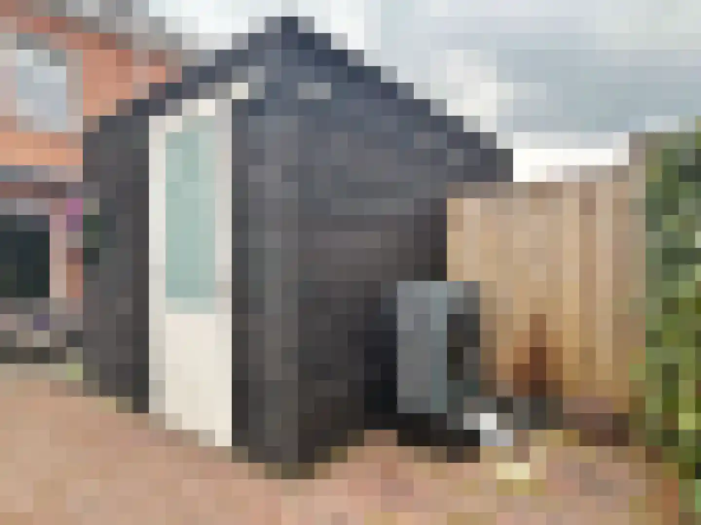 De Wieken 19 Elburg thumbnail 21