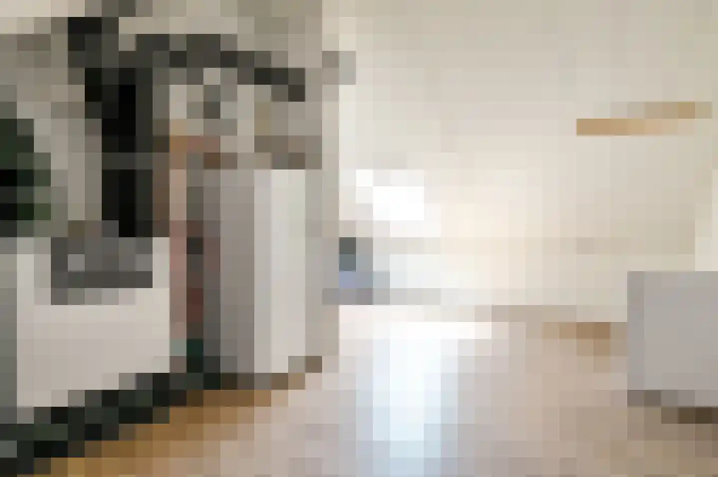 De Wieken 19 Elburg thumbnail 28