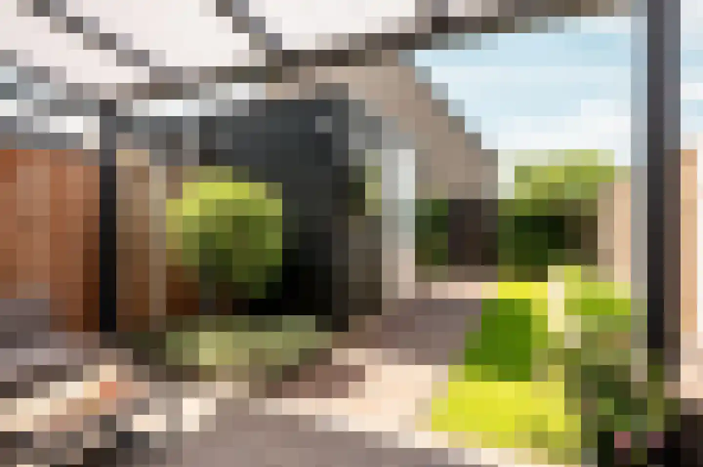 De Wieken 19 Elburg thumbnail 31
