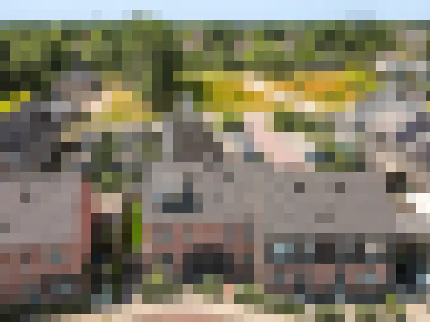 De Wieken 19 Elburg thumbnail 32