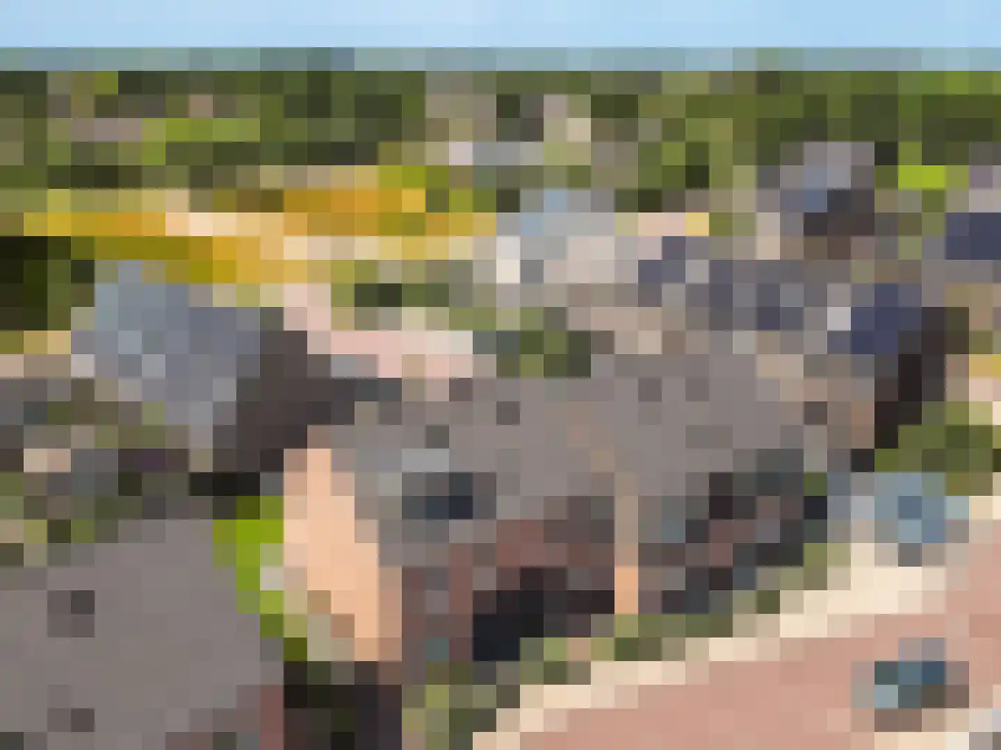 De Wieken 19 Elburg thumbnail 33